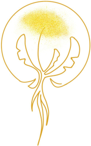 Dolmetscherin der Seele Logo
